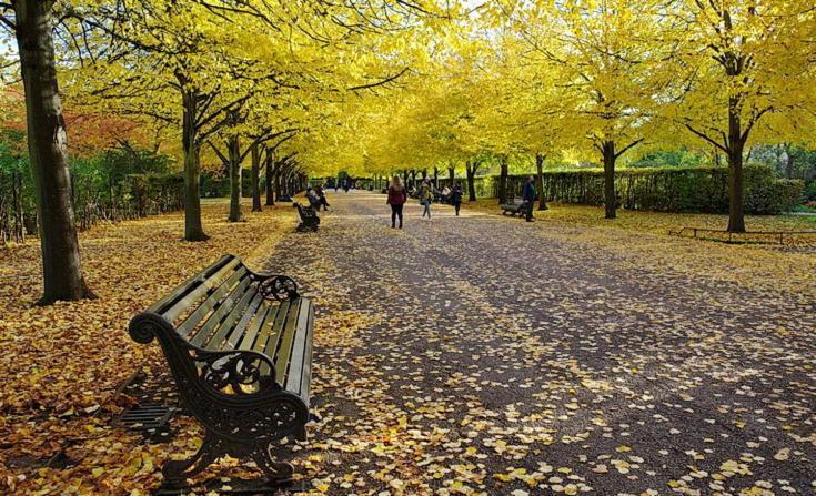 Londwell, Regents Park & Abbey Road Luxury London
